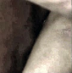 Horny brunette loves getting fucked from behind on outdoor sex