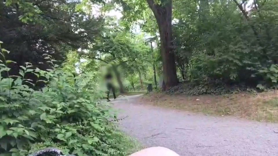 Public Masturbated in the Park & Everyone Saw Me