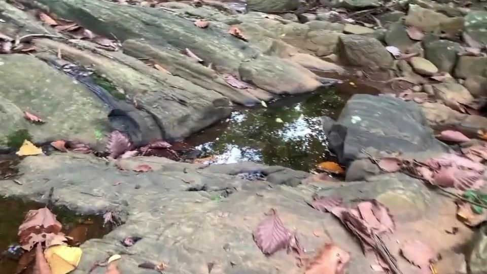 A Young Man Arrives While a Slim Sri Lankan Woman with Naturally Large Breasts Is Bathing and Fuck Her Right There in the Water