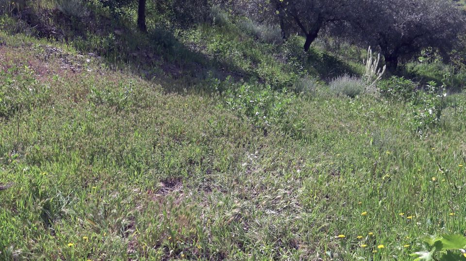 American cuckold wife visits a nudist colony in Italy