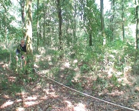 Sneaky old man fucks a teen in the forest