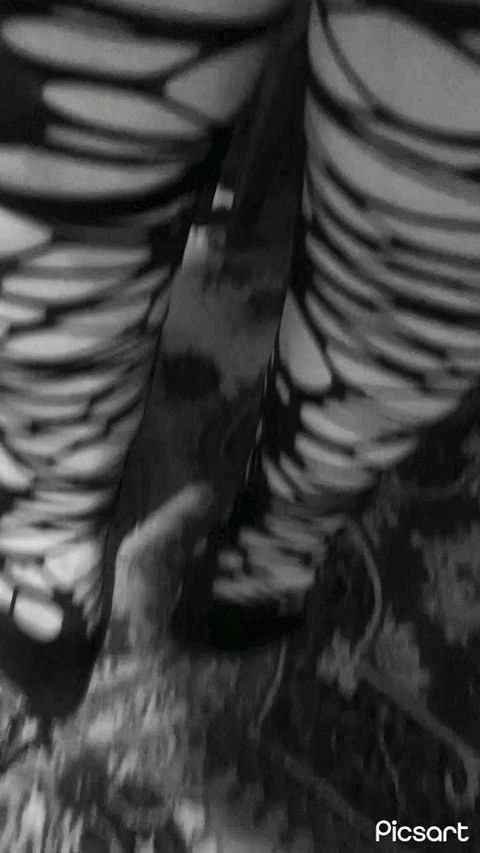 Black gothic socks