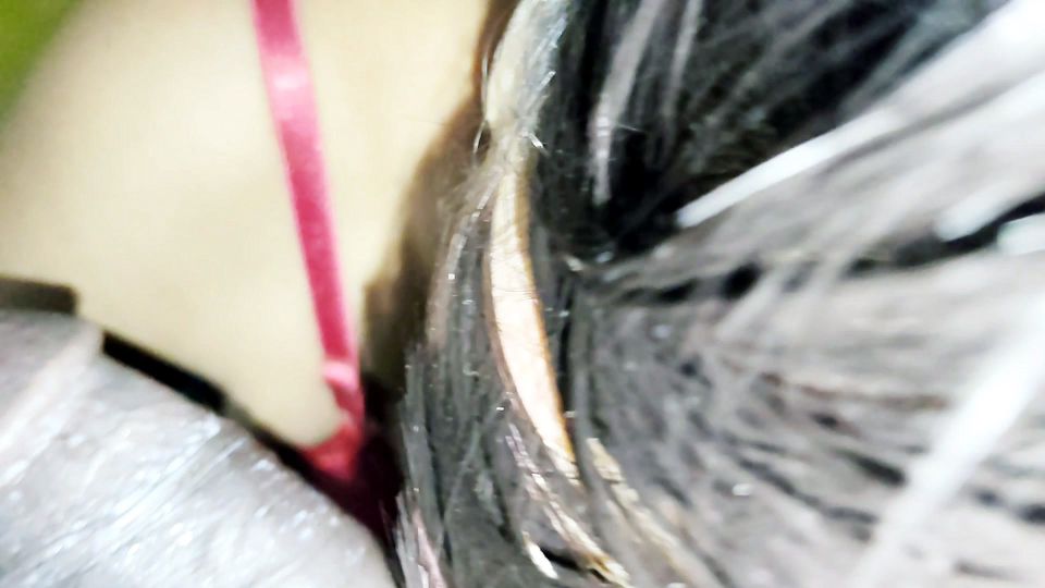 Close-up blowjob deepthroat with huge facial