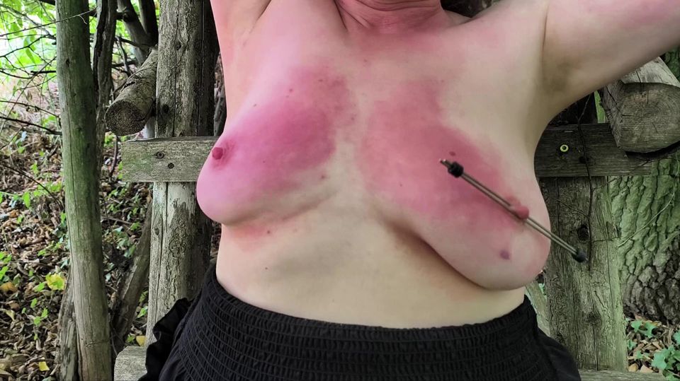 Red breasts with nipple braces
