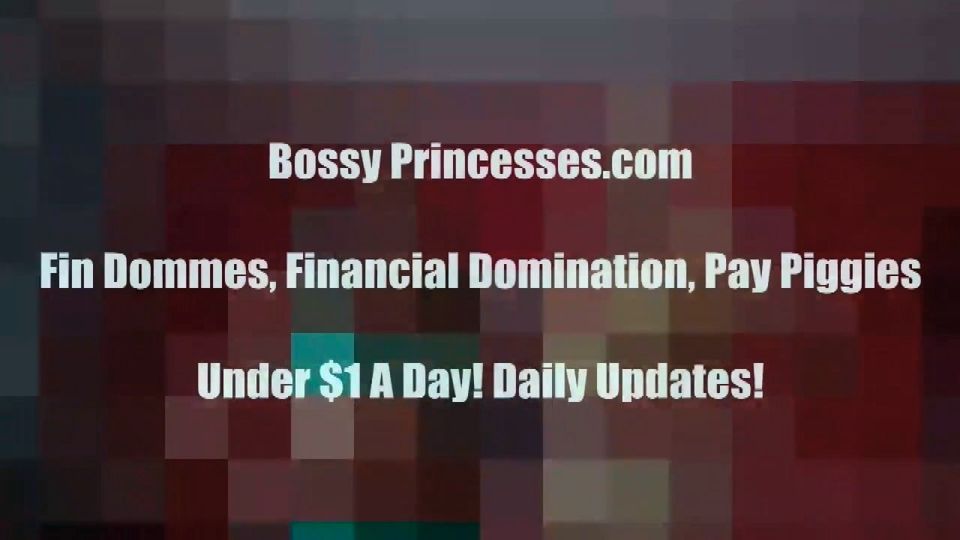 Financial Dominiation Findom Princess Femdom