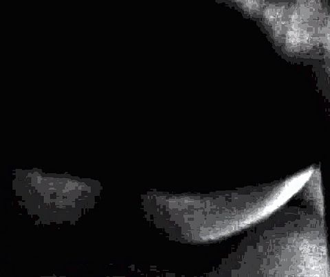 Amateur doggy short vid