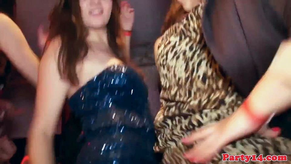 Real euro party babe fucked roughly