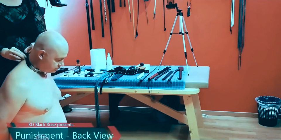 911662902006530049