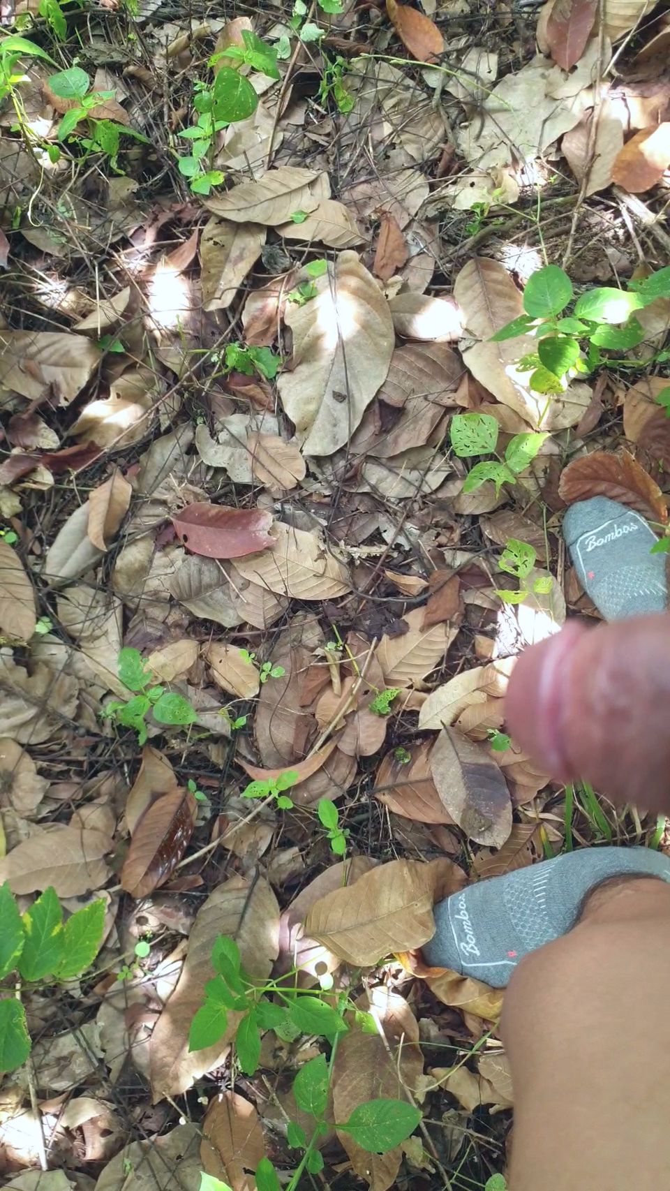 Thudamtrongrungcay