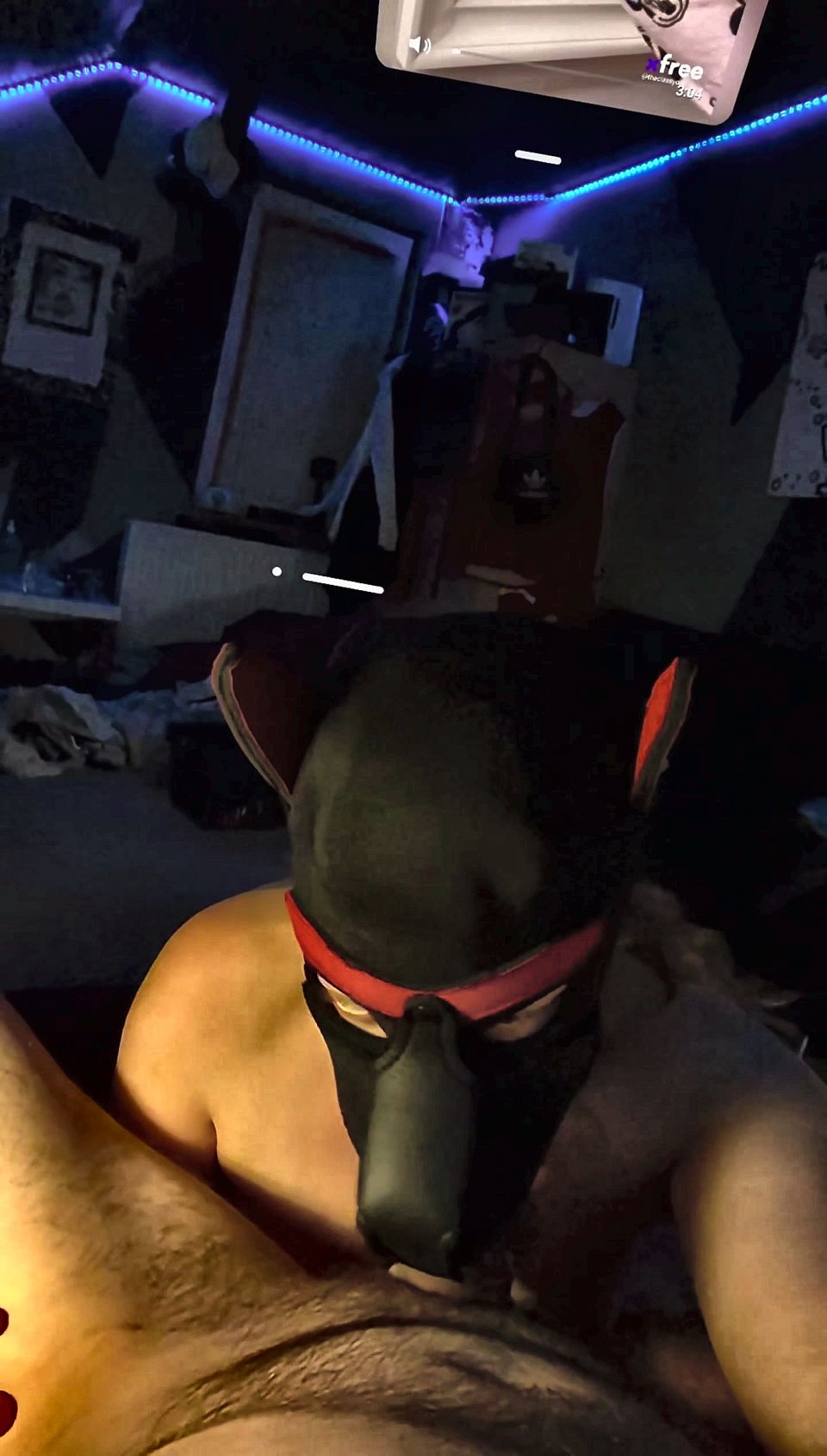 Bitch sucks big white dick