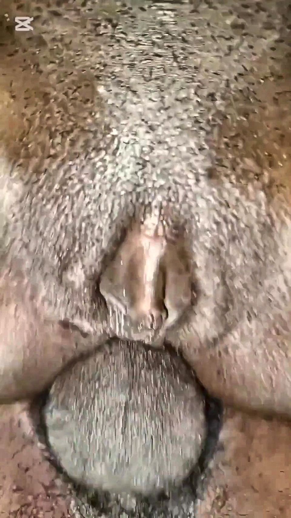I Fuck the Anus of This Whore