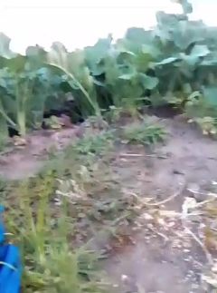 African amateur lactating outdoors