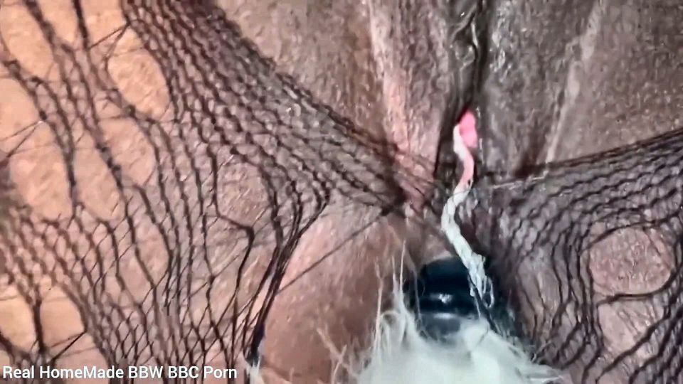 Spanking My Booty Wear Fox Tail Butt Plug