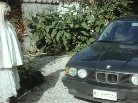 Vintage anal sex in car