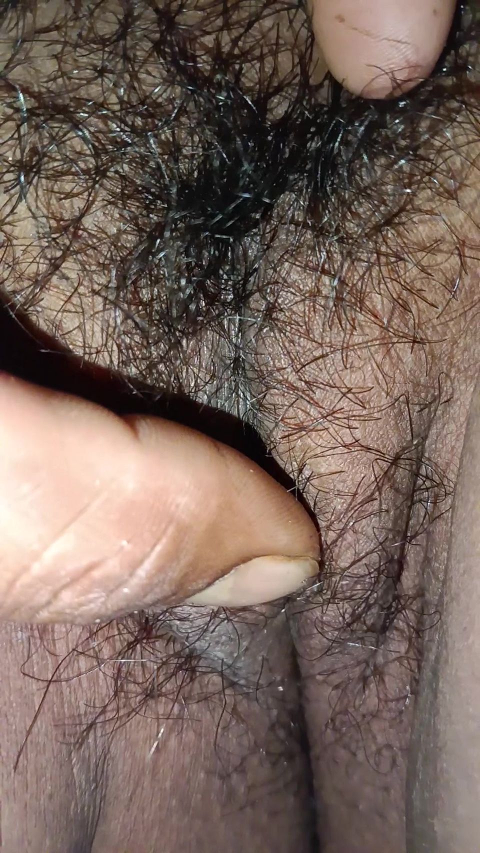 Meri bhabhi ki pyari rasili chut