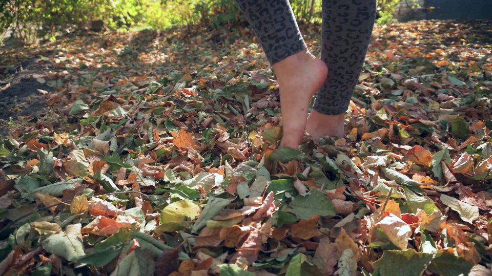 Leaves Crunching Underfoot Asmr
