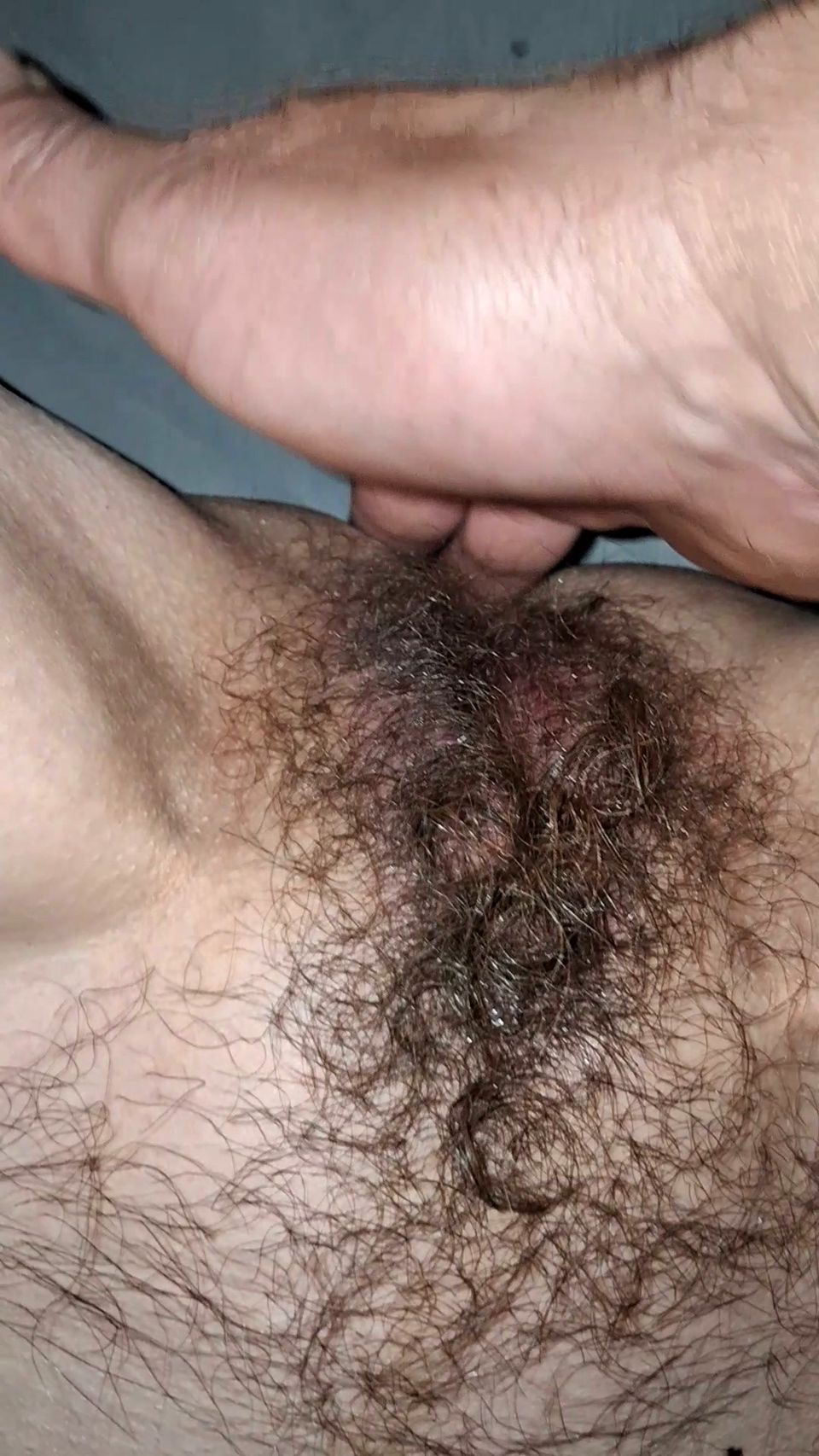 Sexy haarige pussy