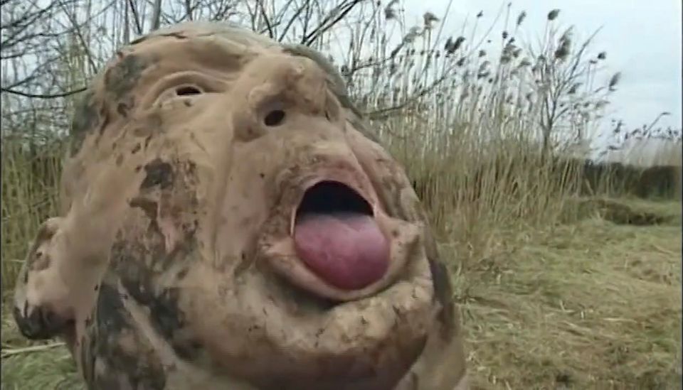 Mature Brunette MILF Gets Fucked Hard in Mud
