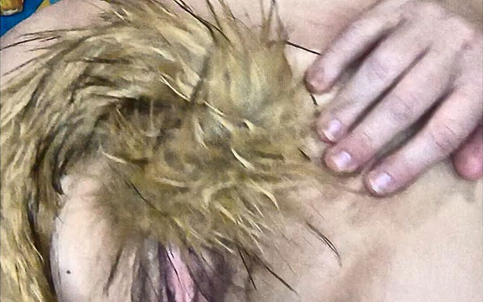 Furry Tail up Her Butt Plug Is Stuffed Now She Wants It Rough