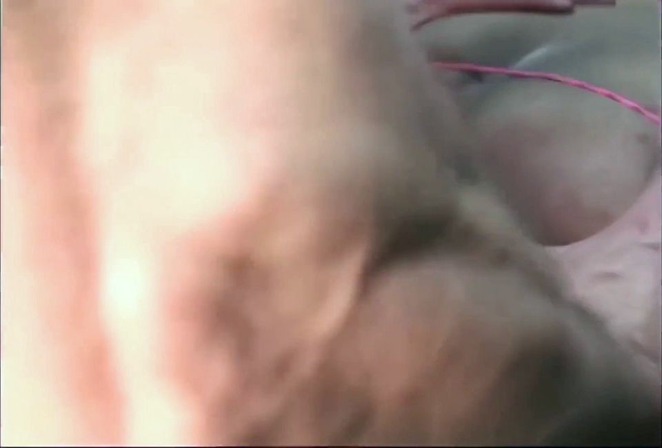 Chubby Black Girls Suck Cock