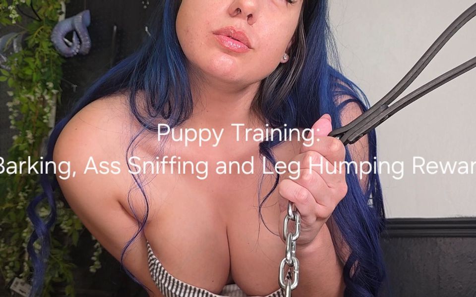 Pet Training: Barking, Ass Sniffing, and Leg Humping Reward