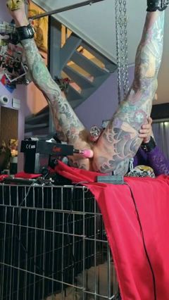 Hooked up legs spread and ready tp pegged